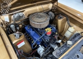 1967 Ford Falcon XR GT Engine - Muscle Car Warehouse